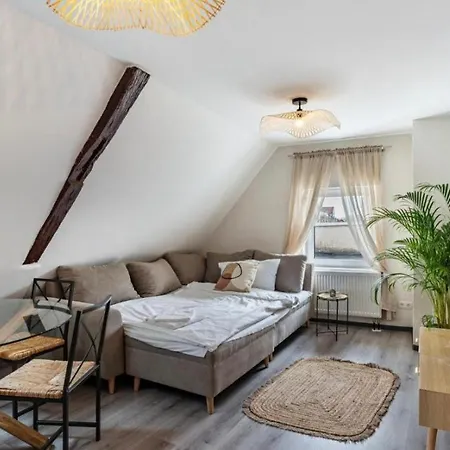 Apartment Appartio - Gemuetliche In Worms-zentrum Worms