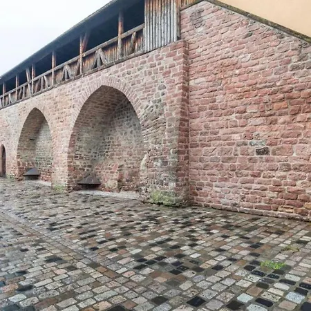 Appartio - Gemuetliche In Worms-zentrum Worms